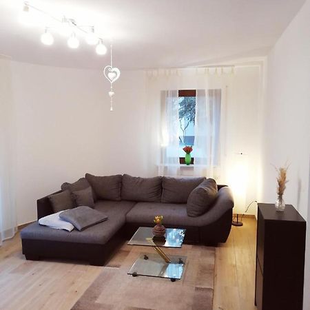 Ebenerdige Ferienwohnung mit großer Terrasse in der Nähe des Waldes, zum wohlfühlen Schöneck Exterior foto