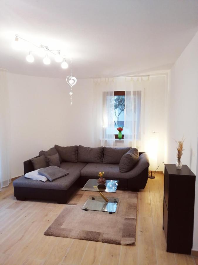 Ebenerdige Ferienwohnung mit großer Terrasse in der Nähe des Waldes, zum wohlfühlen Schöneck Exterior foto